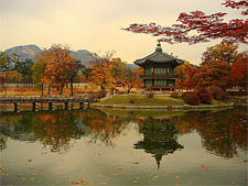 Осенние фестивали в Корее