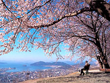 Весна в Корее